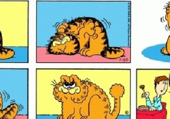 Review Komik Garfield